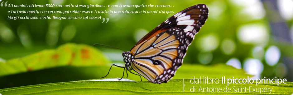 Slideshow Psicoterapeuta Bologna